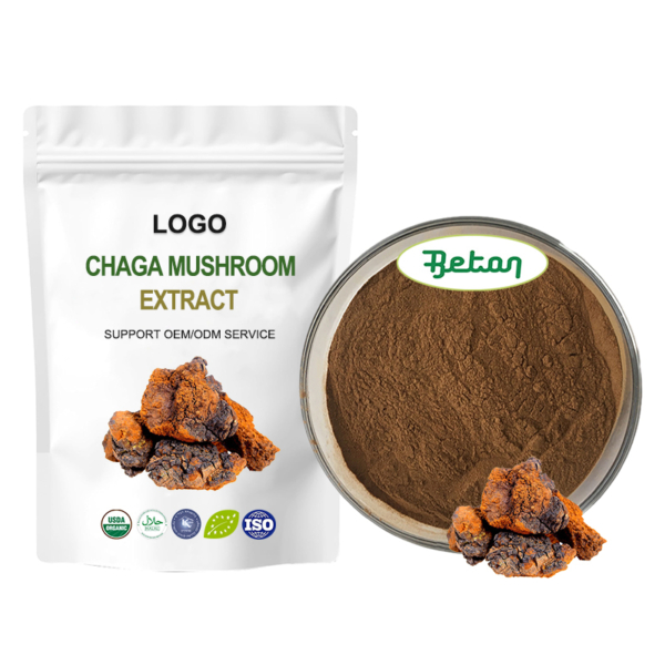 Chaga Extract (1)